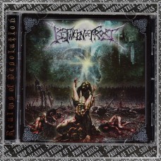 BETWEEN THE FROST "Realms Of Desolation" cd