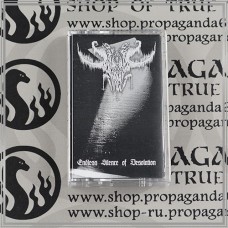 DEMONIC FOREST "Endless Silence of Desolation" tape