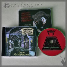 INSATANITY "Divine Decomposition" cd
