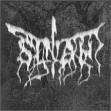SINAH "sparkling scars of intuitivism" cd